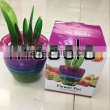 Fruit salad flowerpot combination tool shredder multifunctional fruit conditioner FRUIT PLANT