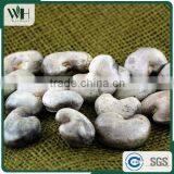 Certified Fresh Cambodia RCN thumbnail-6