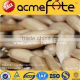 Wholesale Delicious Sunflower Seeds Kernels