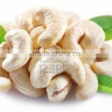 Vietnam Dried Cashew Nuts W240 thumbnail-1