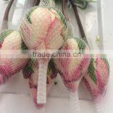 Grade A Fresh Rose Flowers Fresh-cut Roses thumbnail-1