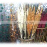 Grass Inflorescence Artificial Flower GI-01