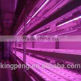 Plant Factory in Container thumbnail-1