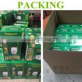 Knapsack Pressure Sprayer Insect Pesticide Sprayer thumbnail-4