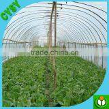 High Quality PE Material Clear Plastic Greenhouse Film/grape Cover Plastic Film thumbnail-2