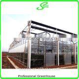 Multispan Tunnel Greenhouse for Strawberry Grape Raspberry , Agricultural Green Houses thumbnail-6