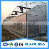 Greenhouses With Reinforced Plastic Frame For Sale thumbnail-2