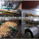 Chips Roasting Oven Dryer Machine b