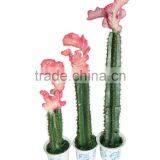 CHY040919 Evergreen Plastic Succulent Plant on Sale thumbnail-4