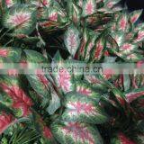 High Quality Artificial Plant Wall Fake Wall Plant thumbnail-5