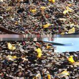 High Grade and Quality D Shape Wooden Handle Camping Shovel/farming Shovel/garden Shovel thumbnail-4