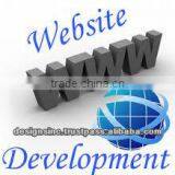 Website Design thumbnail-1