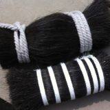 лошадьи грива и лошадиный хвост thumbnail-2