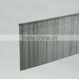 F10 Staple thumbnail-2