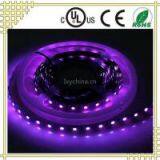 UV Color 60led/M 2835 LED Tape Light thumbnail-1