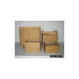 Cane Rush Products thumbnail-1