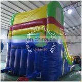 2017 New Design Inflatable Slide/mini Tropical Slide/factory Price Inflatble Slide thumbnail-2