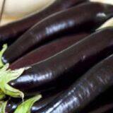 Hybrid Long Eggplant Seeds Mid-early Maturity Green Sepal Vegetable Seeds No.85 thumbnail-1