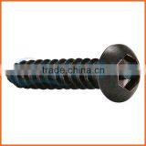 China Supplier Galvanized Anti-theft Screw thumbnail-4
