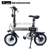 OEM Floding Supler Light OEM E-bike