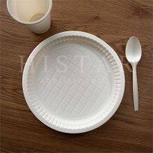 Organic Eco-friendly Disposable Food Plates thumbnail-2