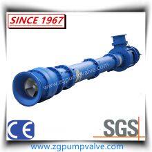 Vertical Long Spindle Pump Made of Stainless Steel SS304 Anti-corrosion thumbnail-2