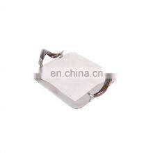 Stainless Steel Horn Handle Tray
