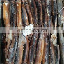 Frozen Illex Squid Illex Argentina 150/200 200/300 thumbnail-4