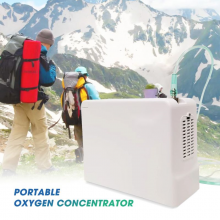 Mobile Oxygen Concentrator thumbnail-1
