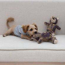 Teddy Bear thumbnail-2