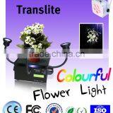 Factory Price 4pcs 6in1 LED Growth Light for Plants thumbnail-2