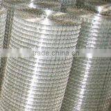 Hot Sell Lowest Price Hot Dipped Galvanzied Welded Mesh