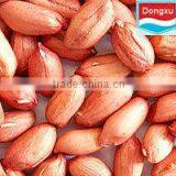 24/28 Peanut Kernels
