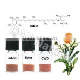Marigold Extract Lutein Supplement - Pure Lutein Powder/ Oleoresin