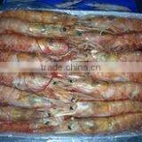 SHRIMPS thumbnail-5