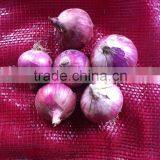 50mm Size Red Onion thumbnail-1