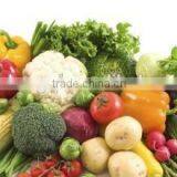 Resonable Price High Quality Pu Sandwish Board for Onion Stonage Warehouse thumbnail-1