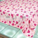 100% Polyester Polar Fleece Promotion Gifts Blanket