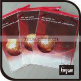 PVC Printed Zipper Bag