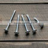 Truss Head Phillips Self Tapping Screw Zinc Plated Roofing Screw thumbnail-3