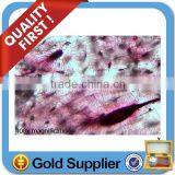 College and University Preparation Human Educational Pathology Slides thumbnail-1