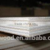 One Time/two Time Hot Press 15mm Brown/black/ Film Faced Plywood Linyi China Factory thumbnail-2