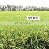 VIETNAM WHITE AND SOFT RICE 5% BROKENS - OM 4218 thumbnail-2