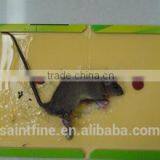 Best Selling Quality Factory Direct Supply Mouse Glue Trap thumbnail-4