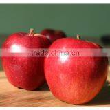 2016 New Crop New Season Huaniu Apple Fresh Apple China Gansu Tianshui Huaniu Apple thumbnail-1