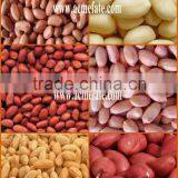 Shandong Long Type Blanched Red Skin Peanut Kernels