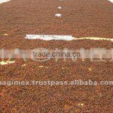 Best Selling Broken Star Anise Aniseeds From Vietnam, High Quality by HAGIMEX thumbnail-2