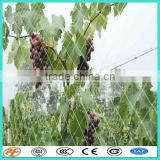 green plastic fruit collection net