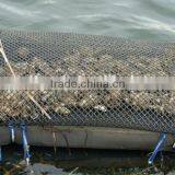 Oyster Bags With Floats for Aquaculture Farm thumbnail-6