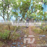 Fogging Machine for Pest Control thumbnail-4